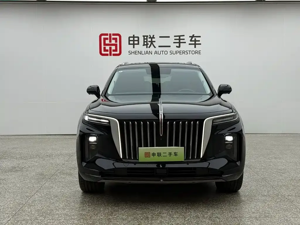 Hongqi E-HS9 — фото 2