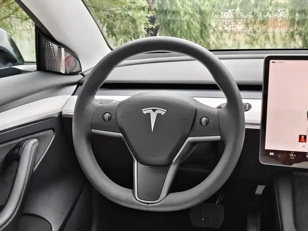 Tesla Model 3 — фото 2