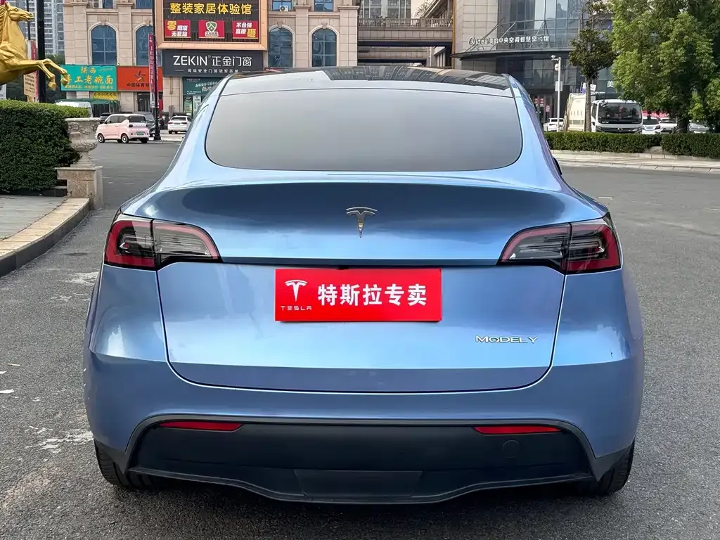 Tesla Model Y — фото 10
