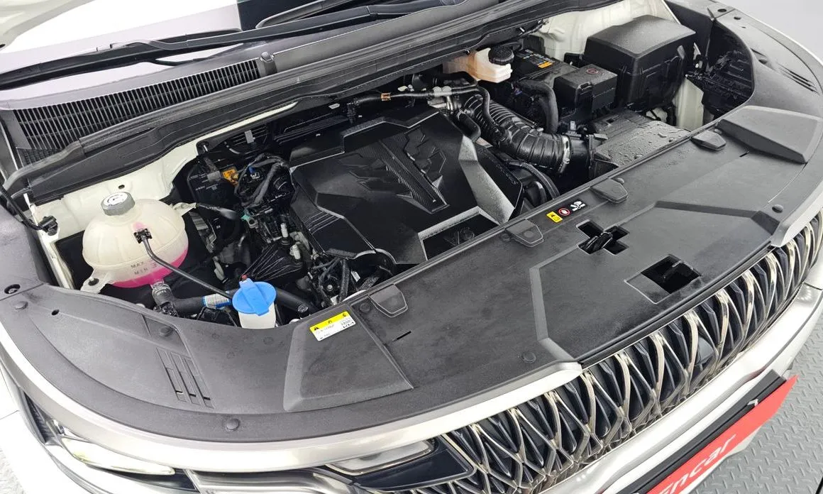 Kia Carnival — фото 10