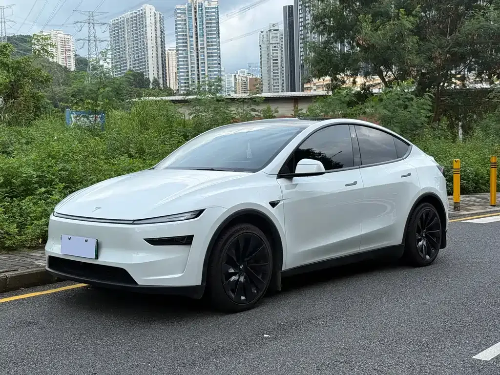 Tesla Model Y — фото 1