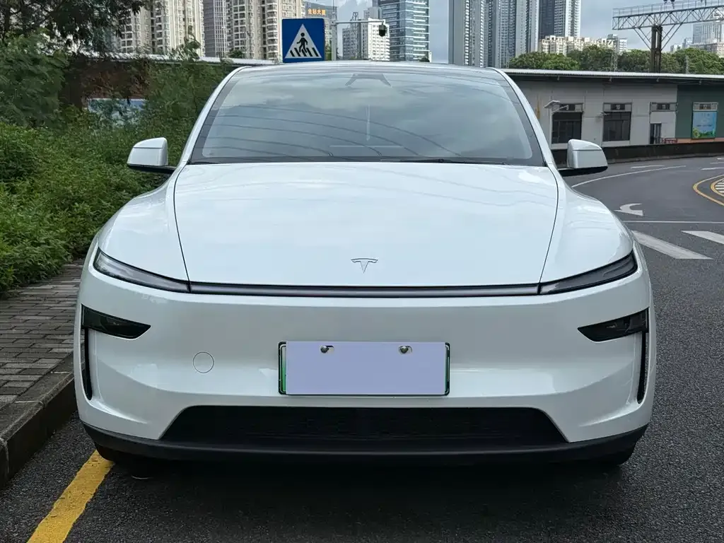 Tesla Model Y — фото 5