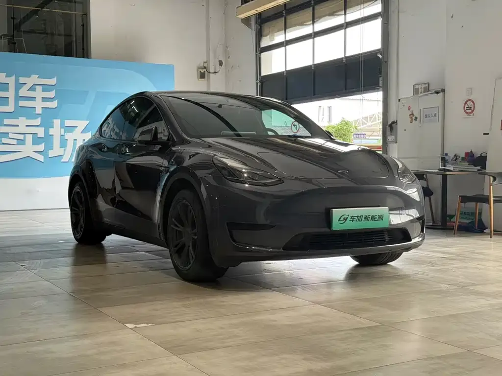 Tesla Model Y — фото 9