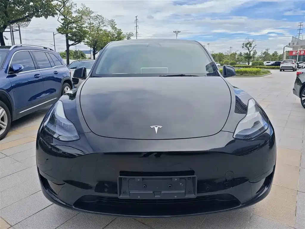 Tesla Model Y — фото 3