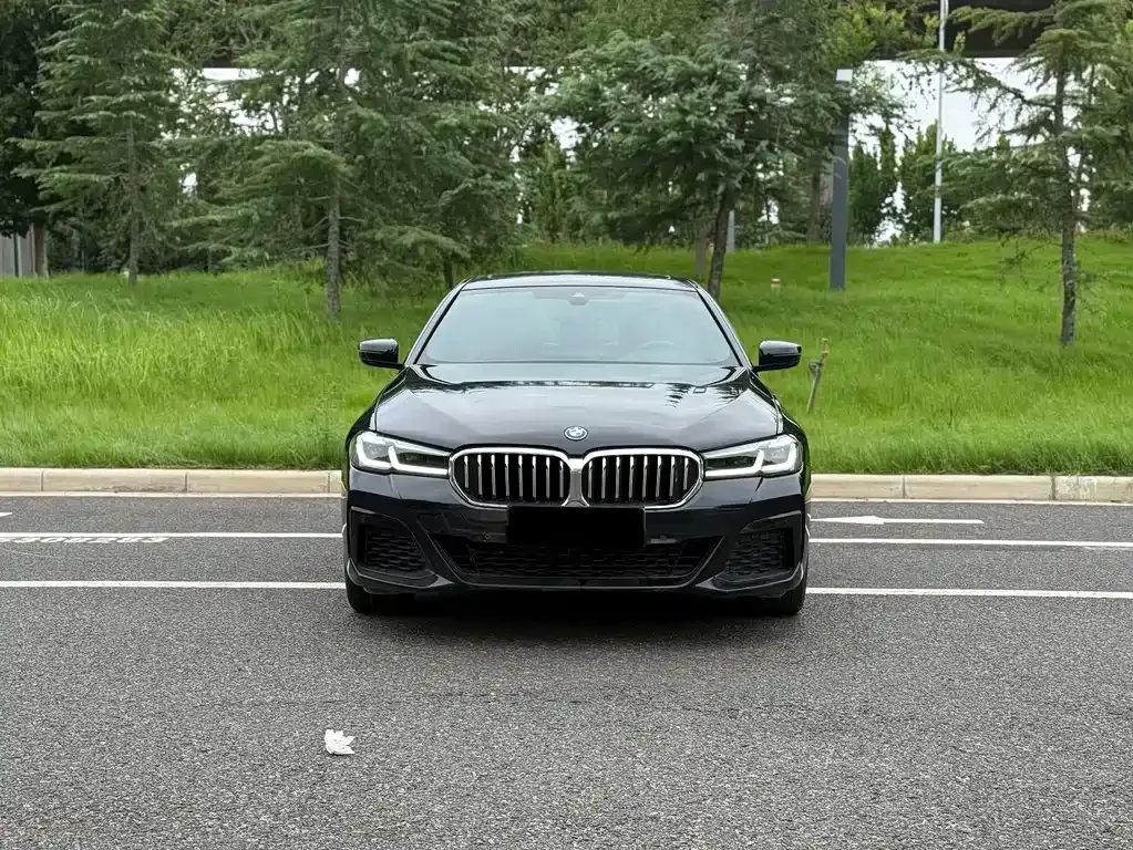 BMW 5 Series New Energy — фото 1