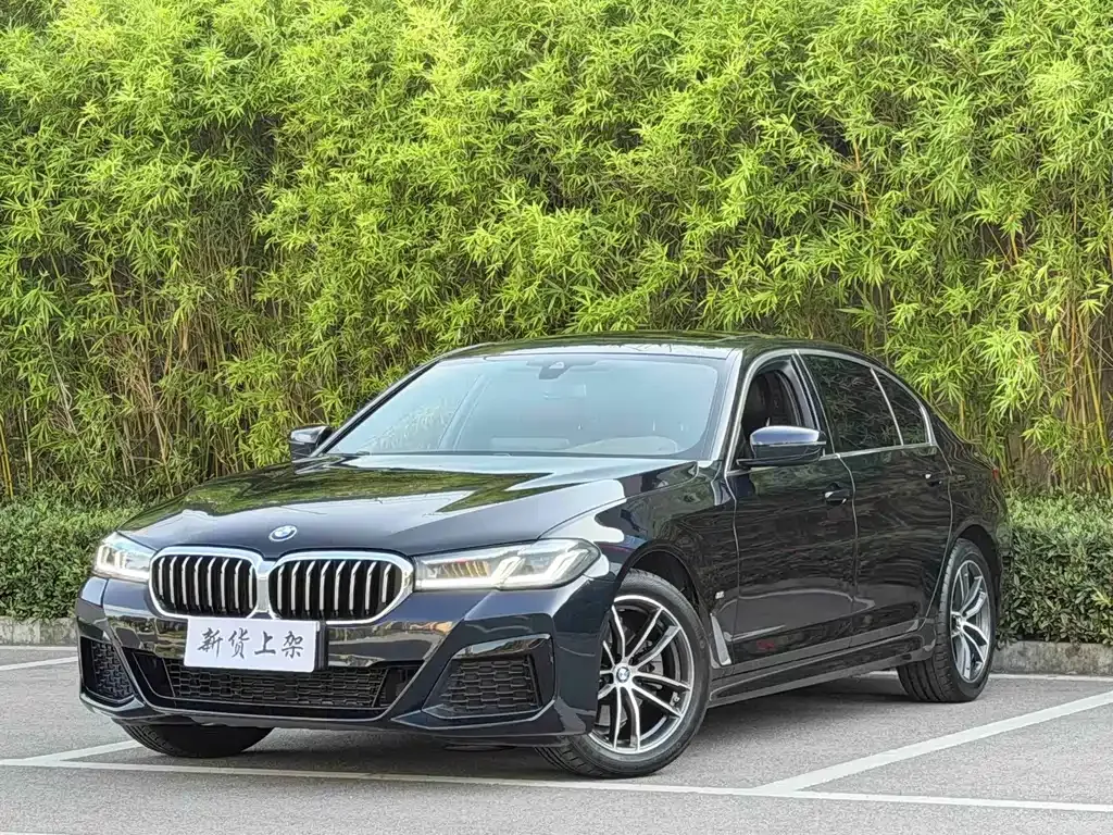 BMW 5 Series — фото 1