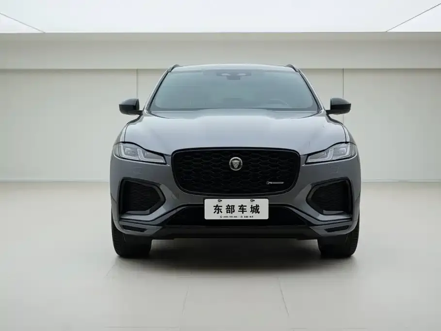 Jaguar F-PACE — фото 6