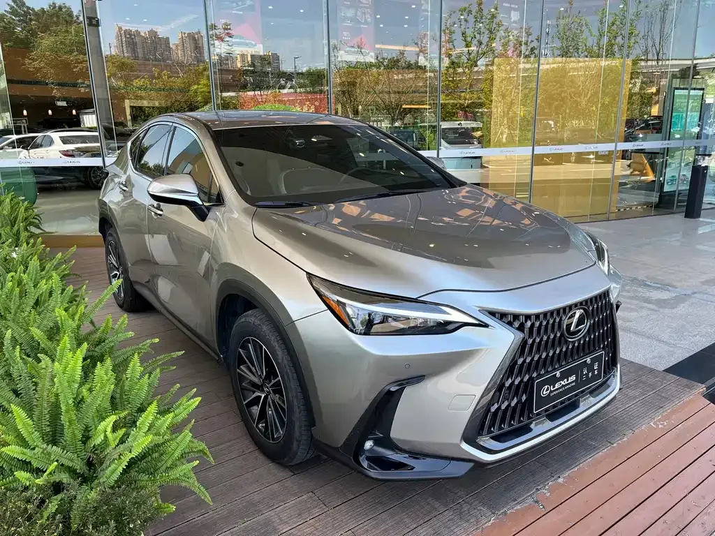 Lexus NX — фото 6