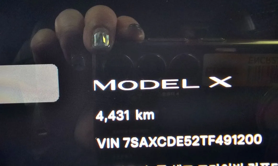Tesla Model X — фото 6