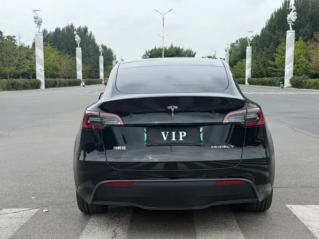 Tesla Model Y — фото 6