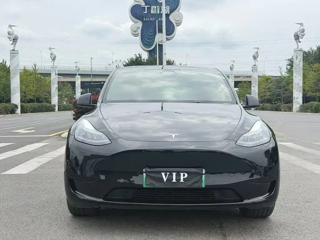 Tesla Model Y — фото 3