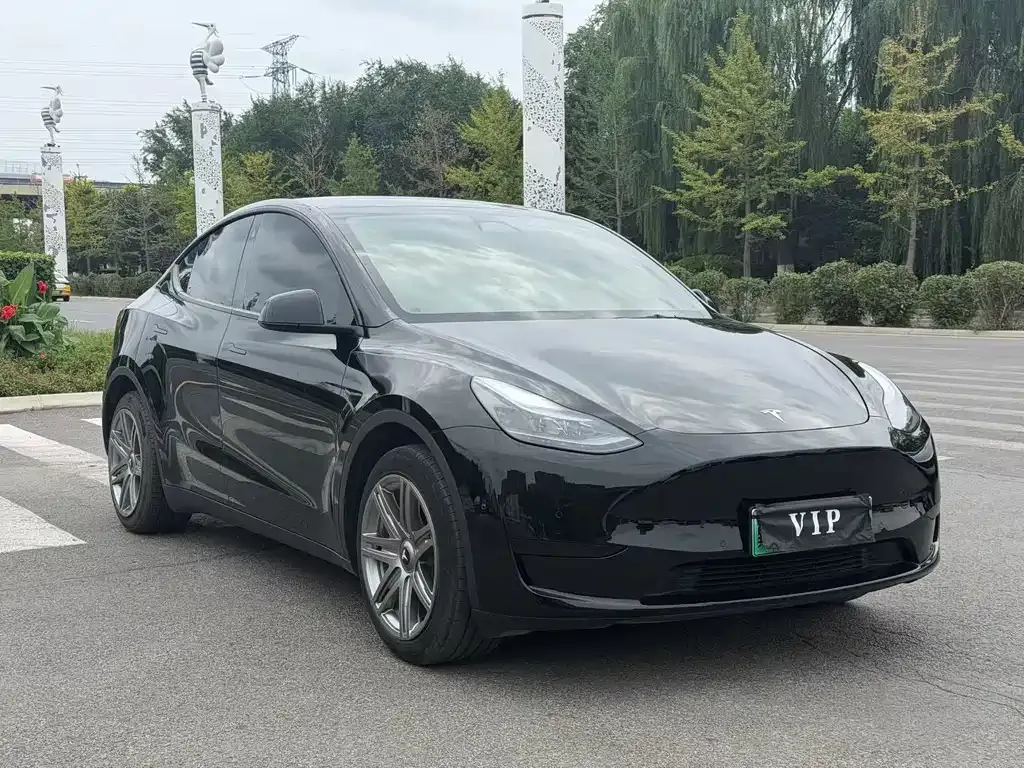 Tesla Model Y — фото 8