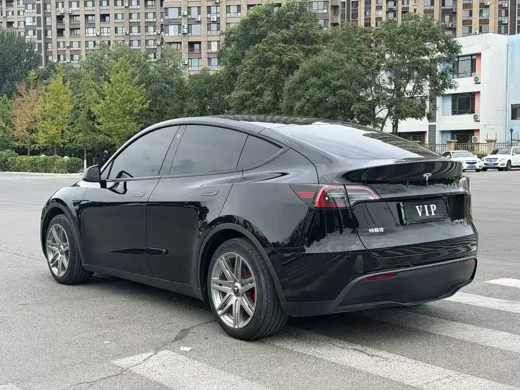 Tesla Model Y — фото 9