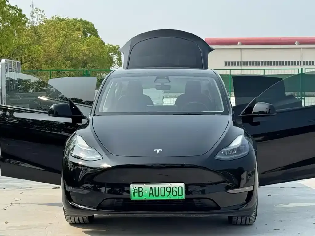 Tesla Model Y — фото 4