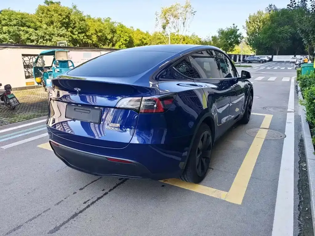 Tesla Model Y — фото 8