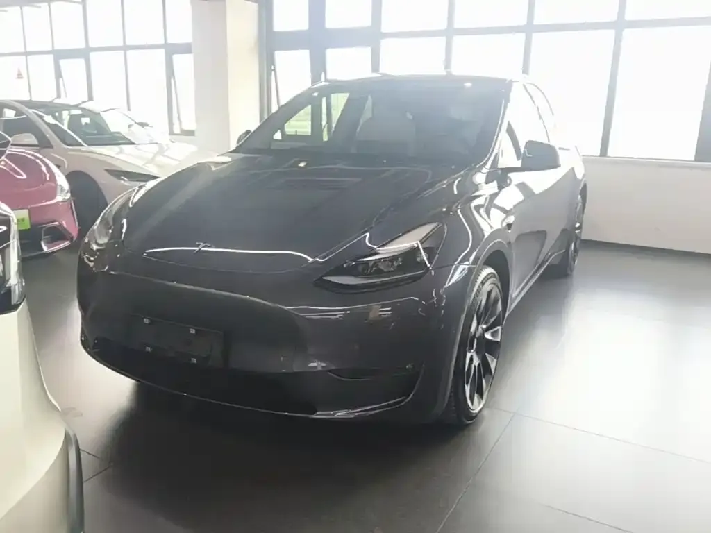 Tesla Model Y — фото 3