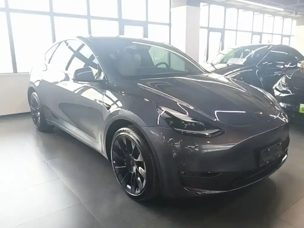 Tesla Model Y — фото 7