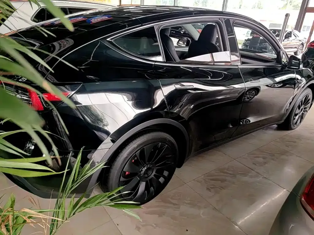 Tesla Model Y — фото 2
