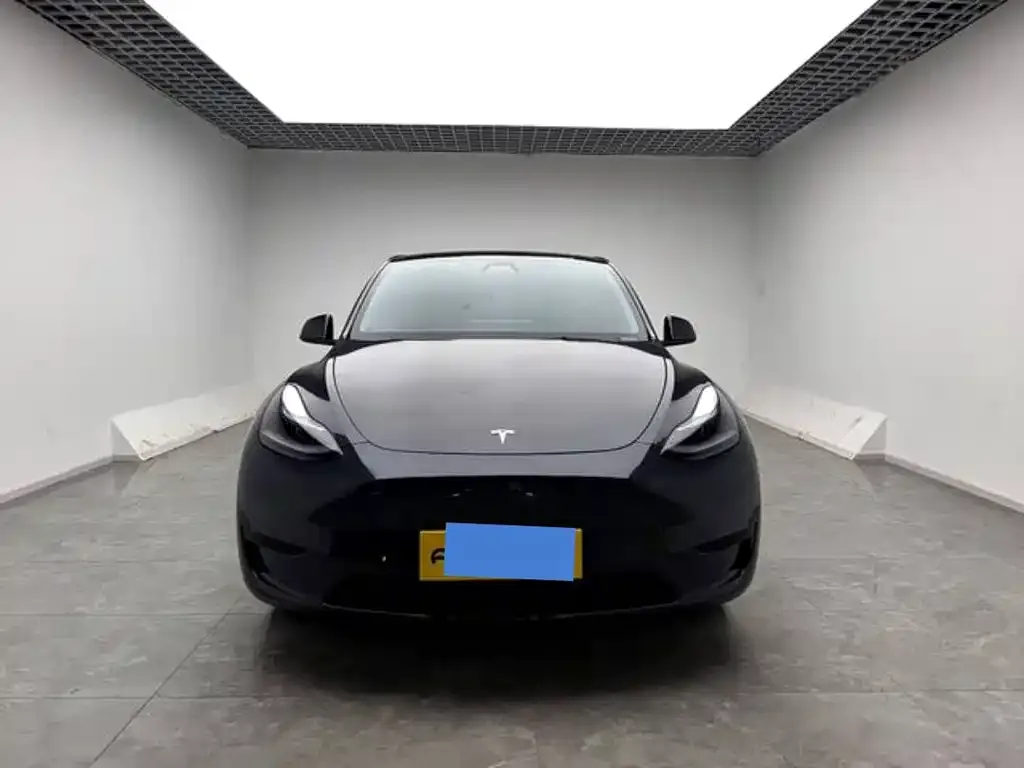 Tesla Model Y — фото 5