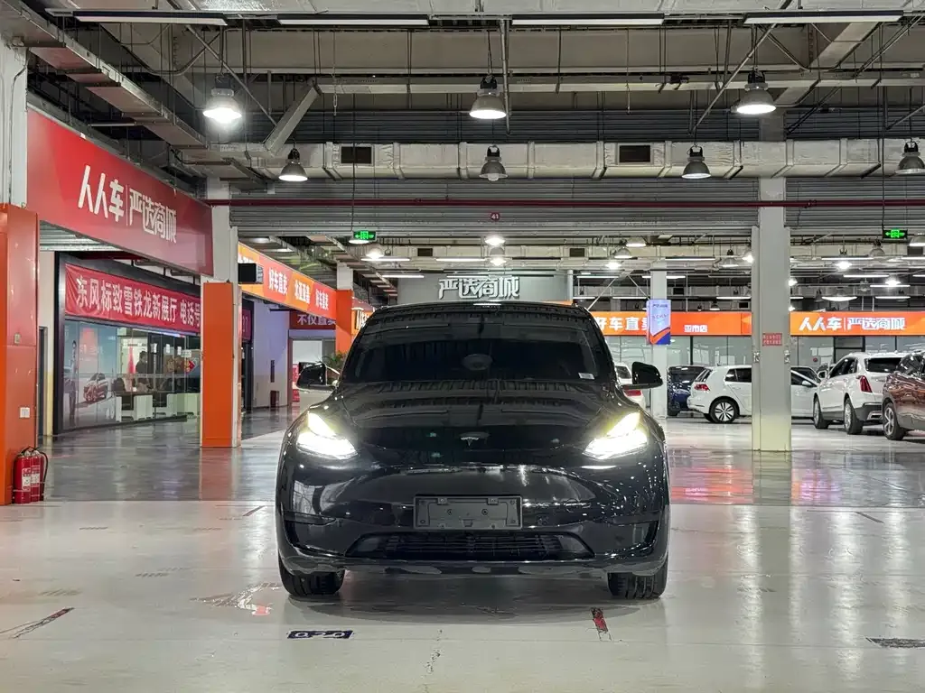 Tesla Model Y — фото 3
