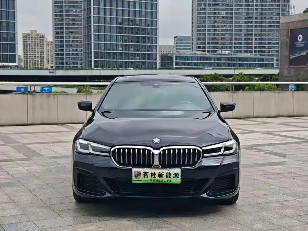 BMW 5 Series New Energy — фото 6