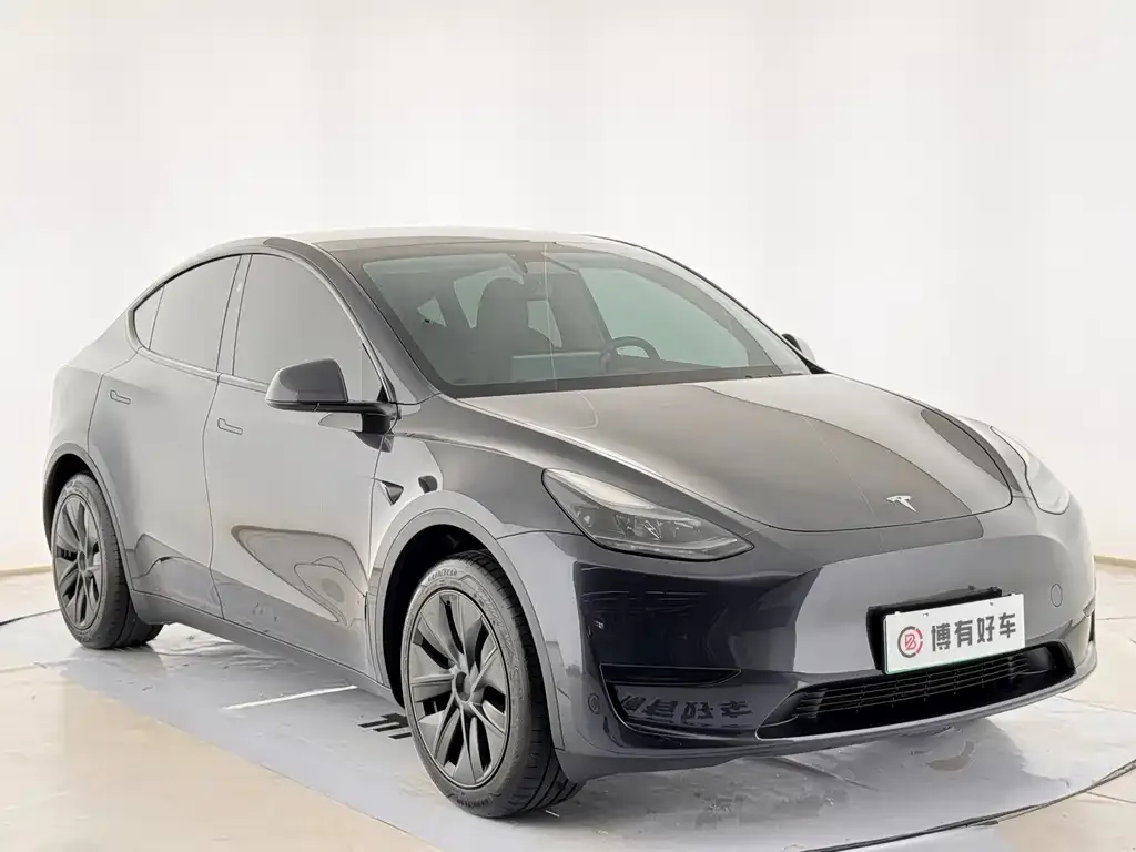 Tesla Model Y — фото 3