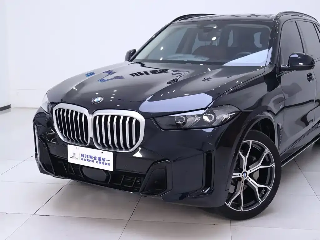 BMW X5 — фото 9