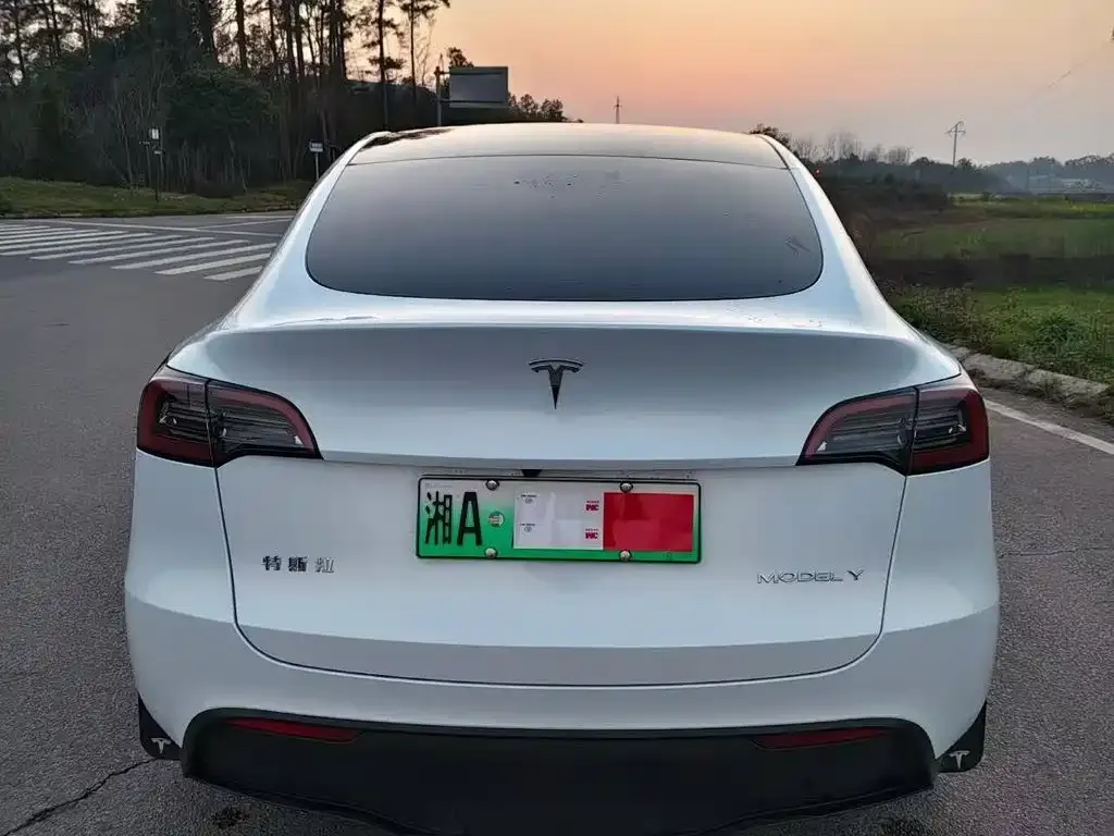 Tesla Model Y — фото 5