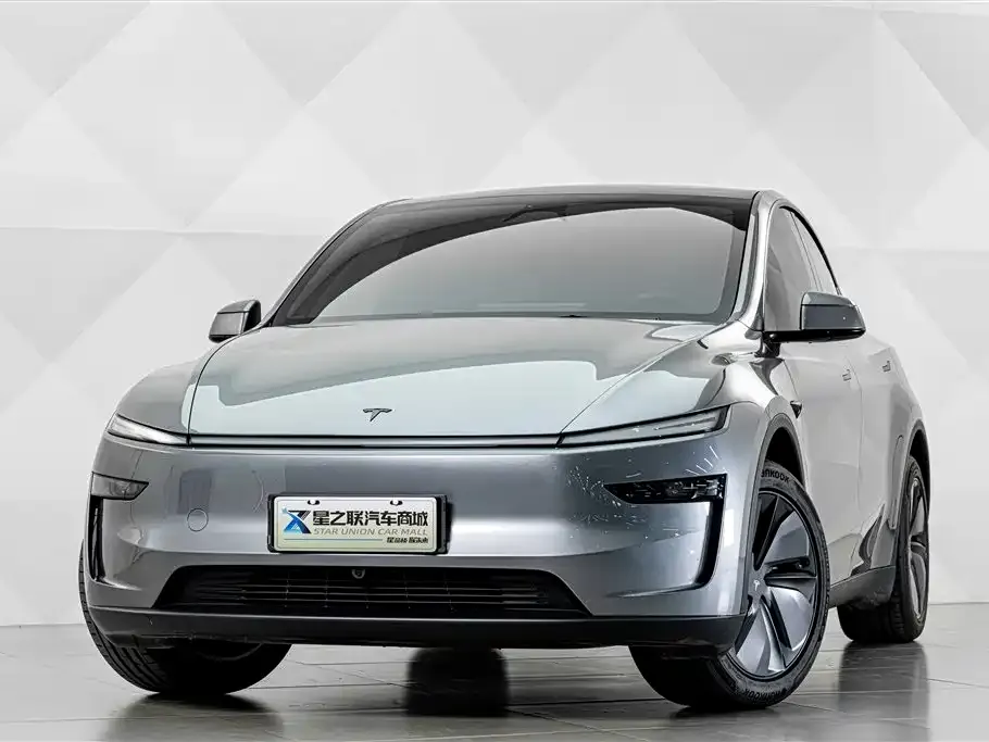Tesla Model Y — фото 6