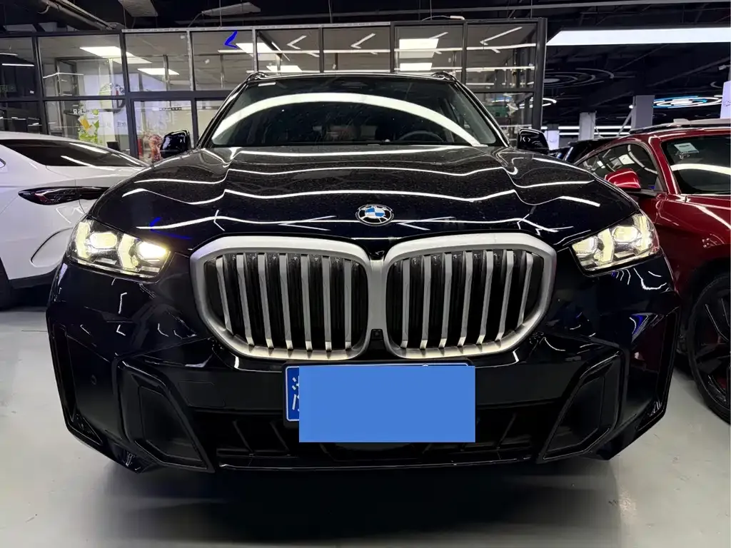 BMW X5 — фото 10