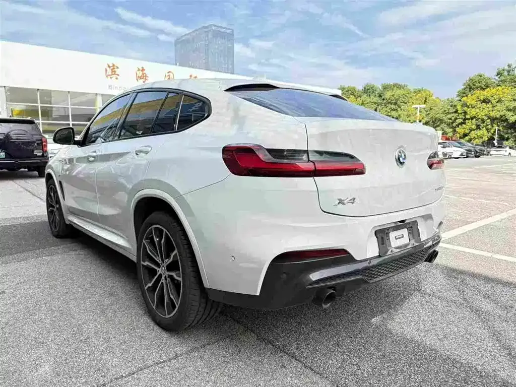 BMW X4 — фото 6