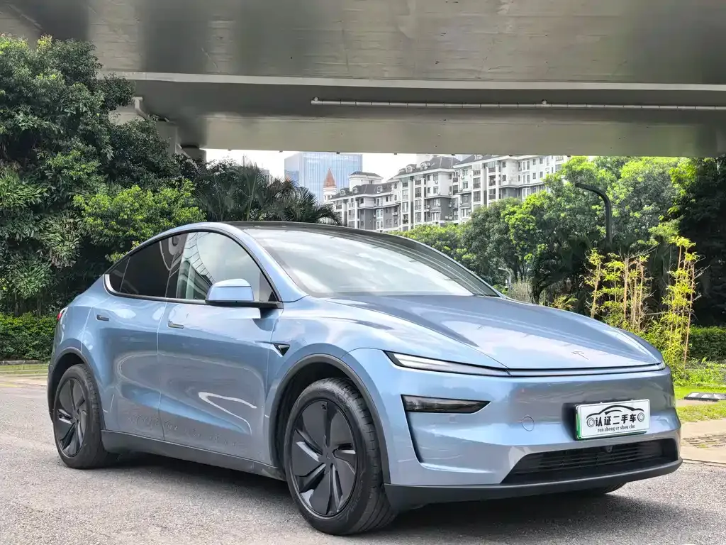 Tesla Model Y — фото 6