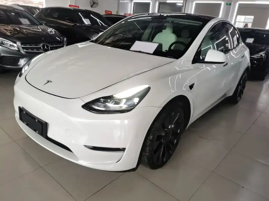 Tesla Model Y — фото 1