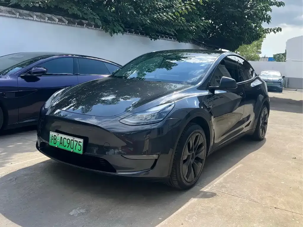 Tesla Model Y — фото 1