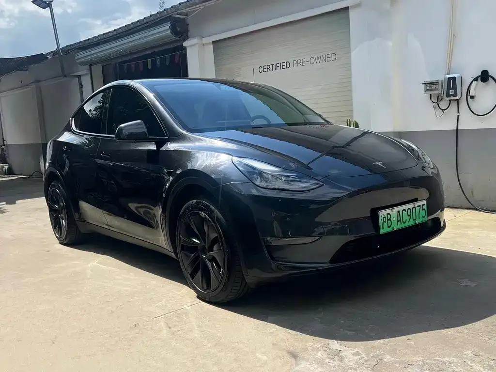 Tesla Model Y — фото 2