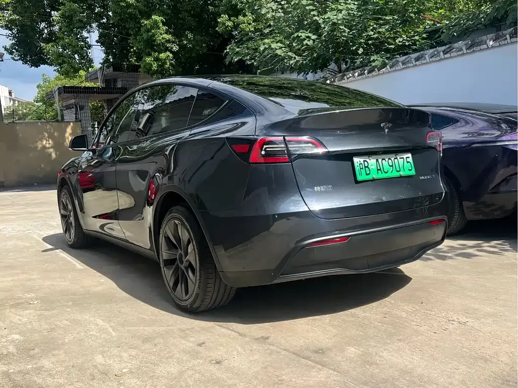 Tesla Model Y — фото 9