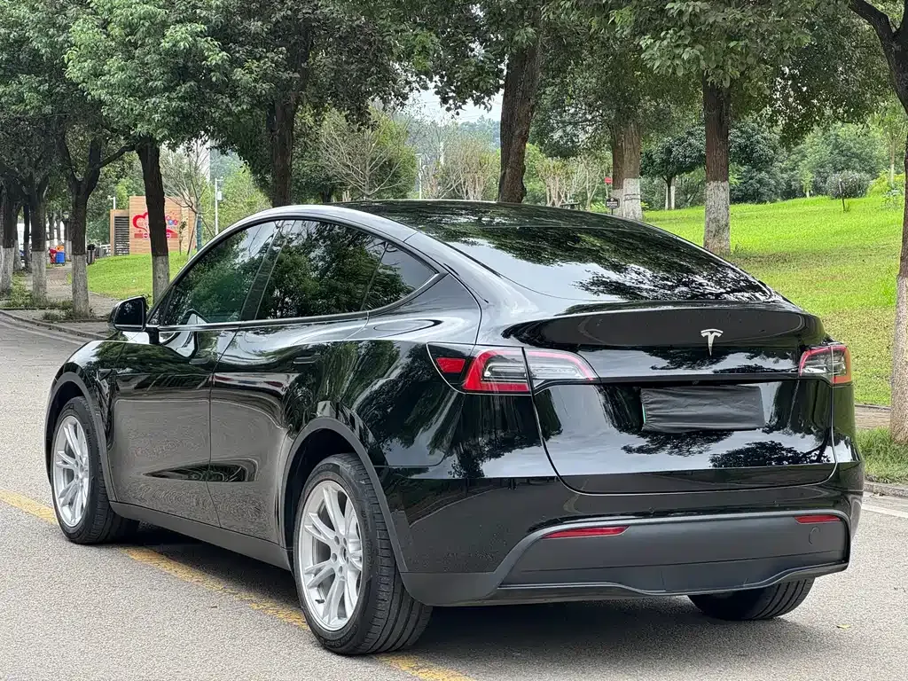 Tesla Model Y — фото 5