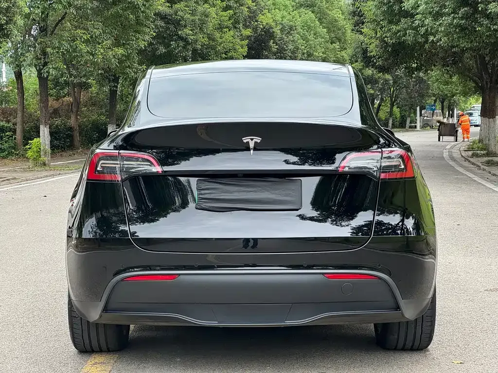 Tesla Model Y — фото 6