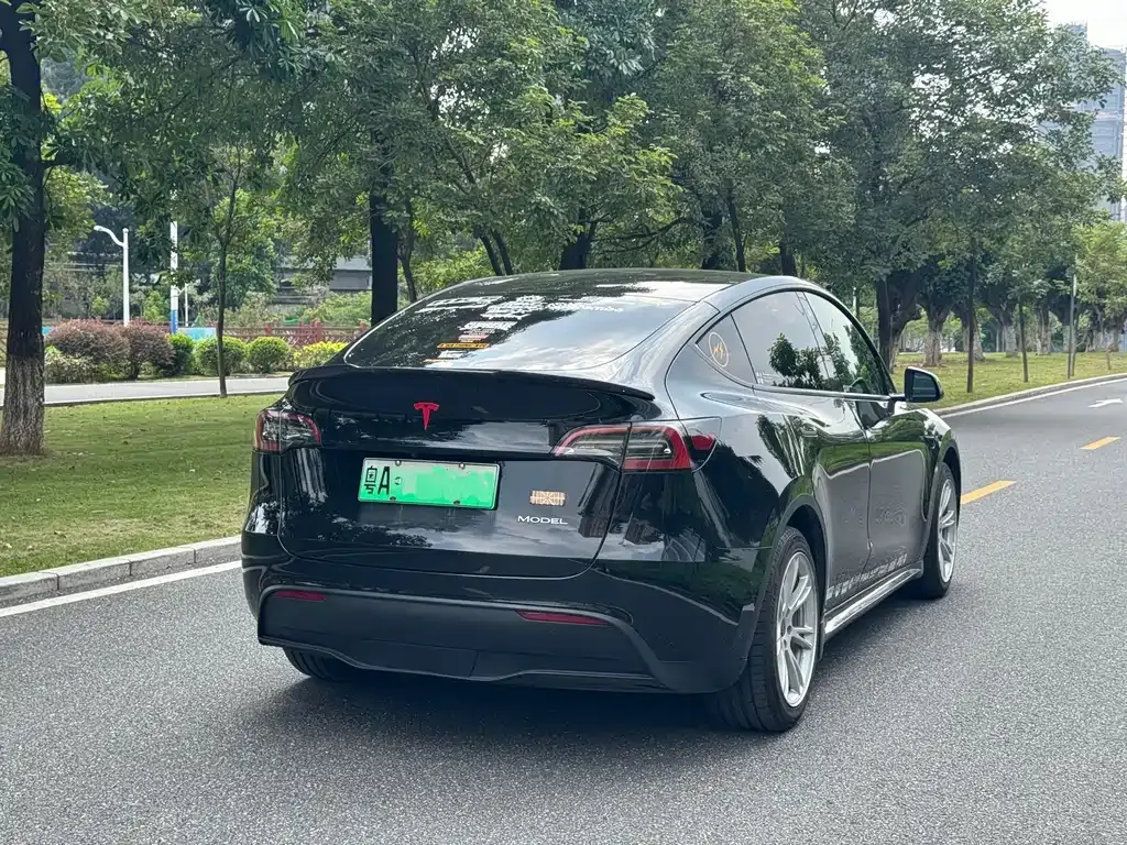 Tesla Model Y — фото 8