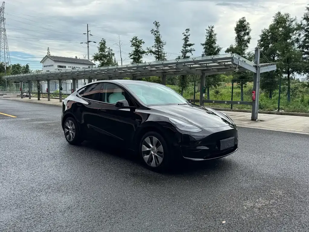 Tesla Model Y — фото 1
