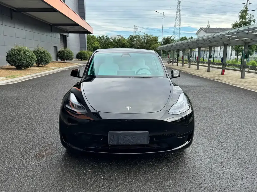Tesla Model Y — фото 8