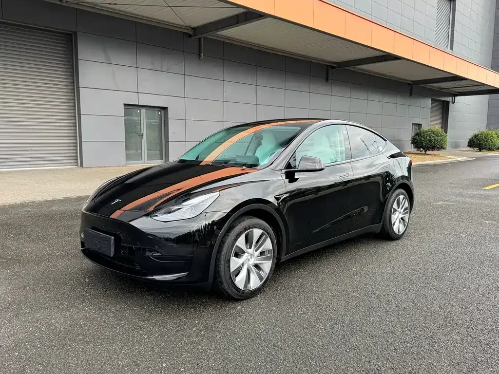 Tesla Model Y — фото 7