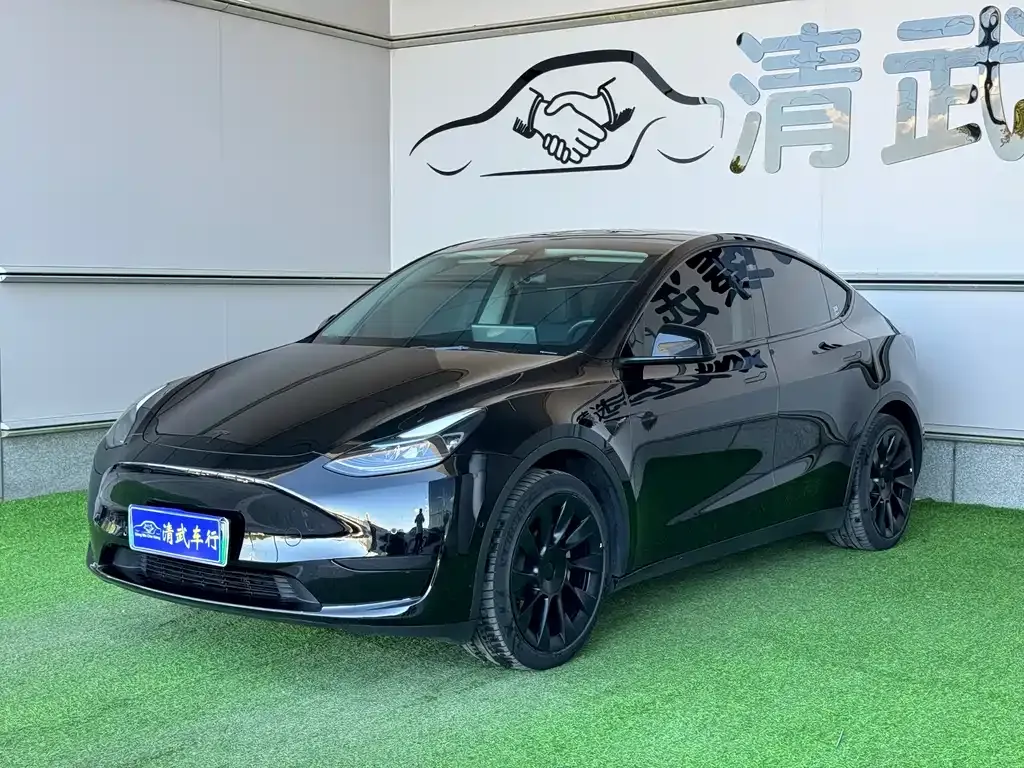 Tesla Model Y — фото 1