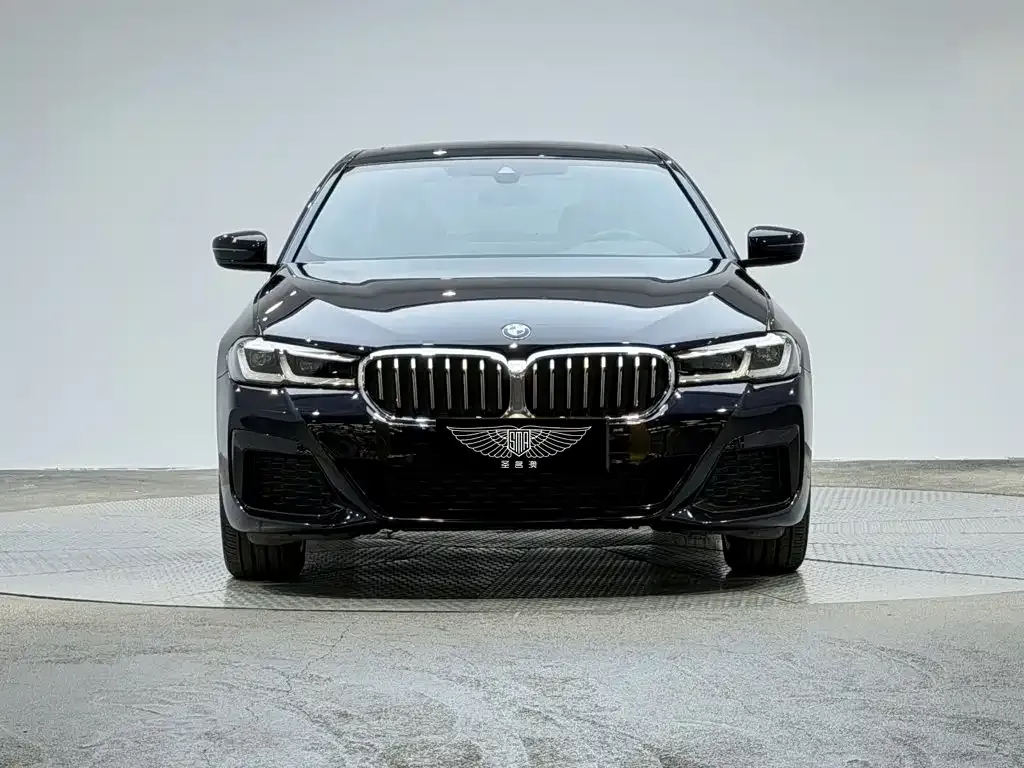 BMW 5 Series — фото 5