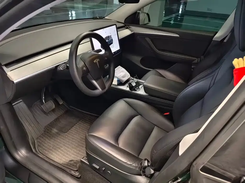Tesla Model Y — фото 10