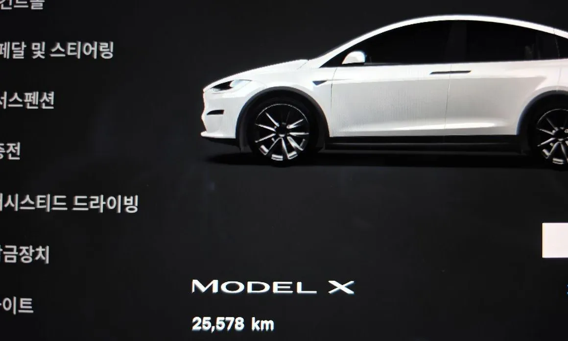 Tesla Model X — фото 4