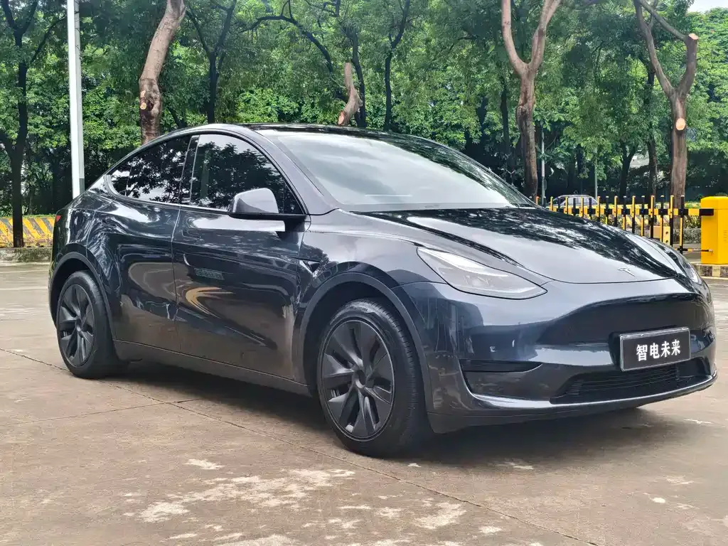 Tesla Model Y — фото 10