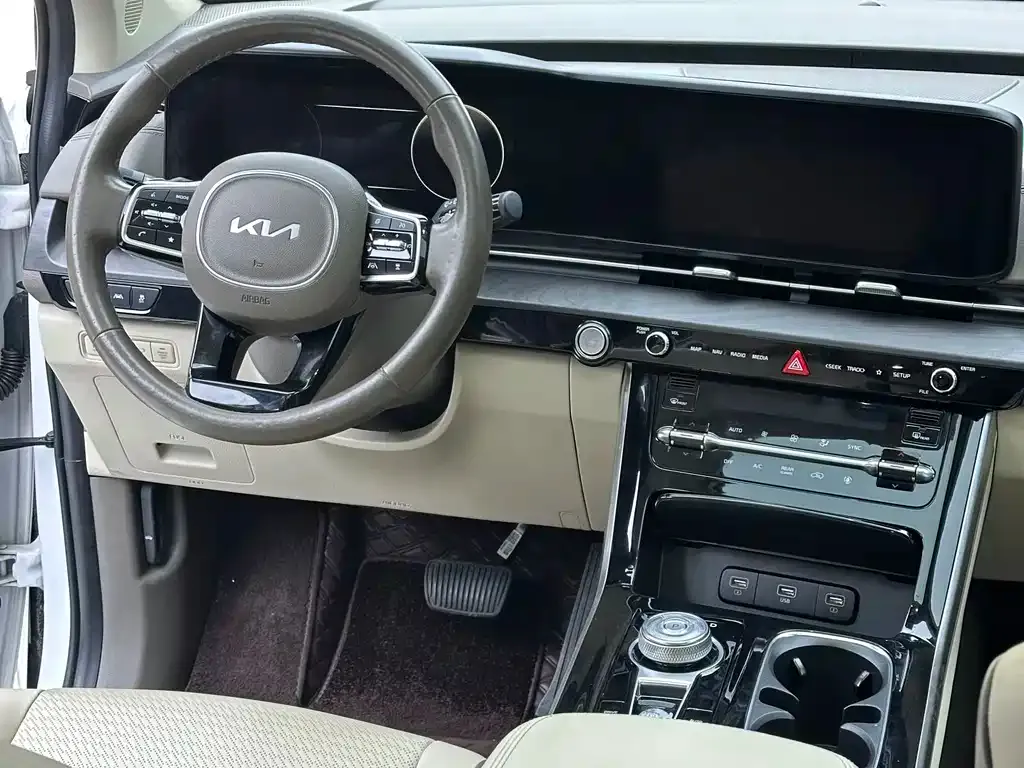 Kia Carnival — фото 10