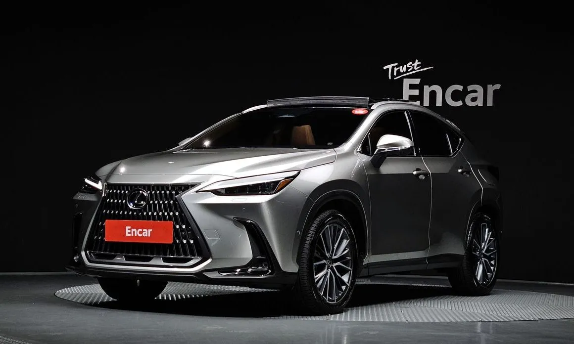 Lexus NX Luxury 1