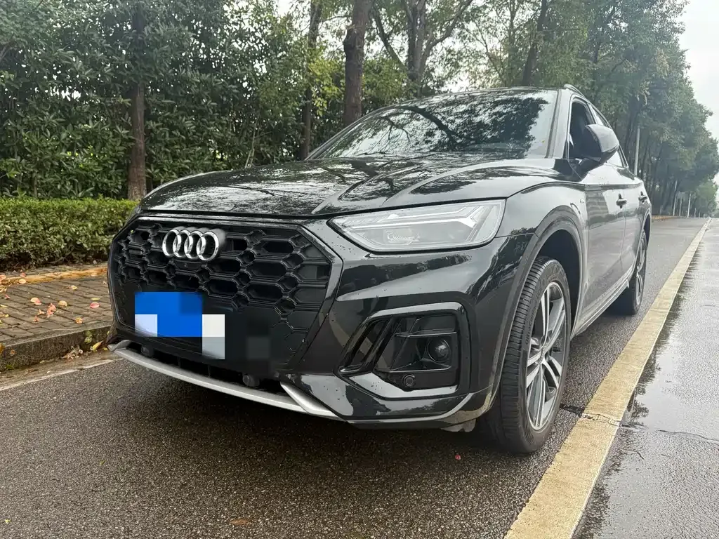 Audi Q5L 40 TFSI Luxury Dynamic 1